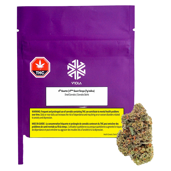 Viola - 4th Quarter (Indica)