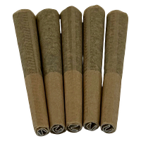 Far Out Crops - Hypernova Haze Sativa Pre Roll