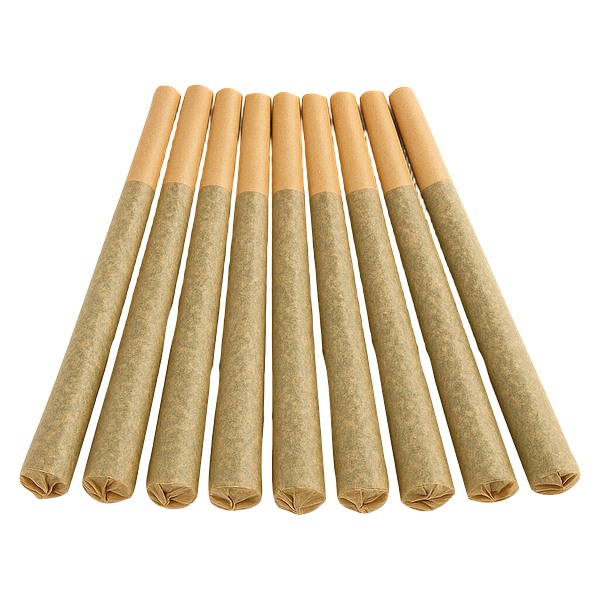 Buzz'd - Stingerz Pre Roll