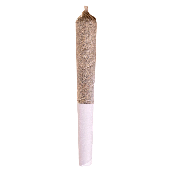 Potluck - Mango Dream Pre Roll