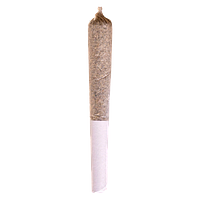 Potluck - Sugar Shack Pre Roll
