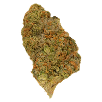 Palmetto - Apple Jack