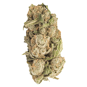 Contraband - Sherblato