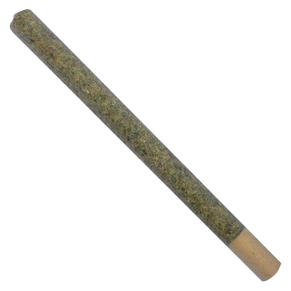 TRYGG - Uncut Pre Roll