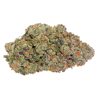 Carmel - Thin Mint x Jealousy