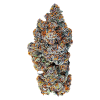 Tenzo - Espresso Gelato