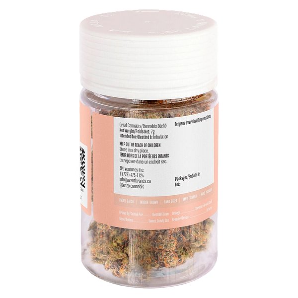 Tenzo - Espresso Gelato