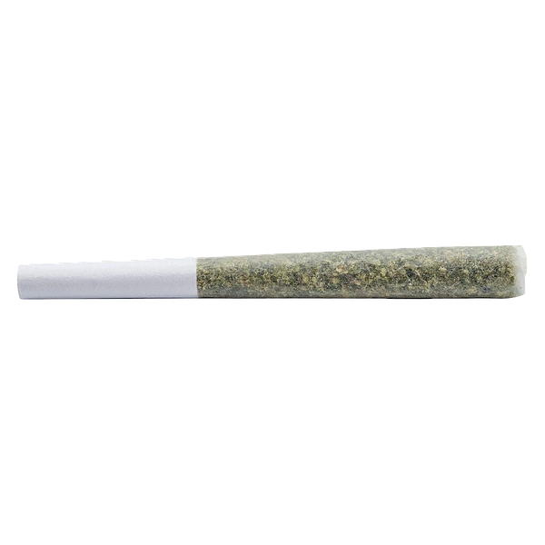 WAZA VIBE - Vibes Pre Roll