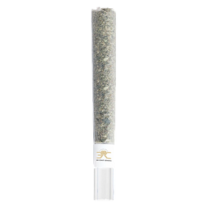 3rd Coast Genetics - Possum Glass Tip Pre Roll