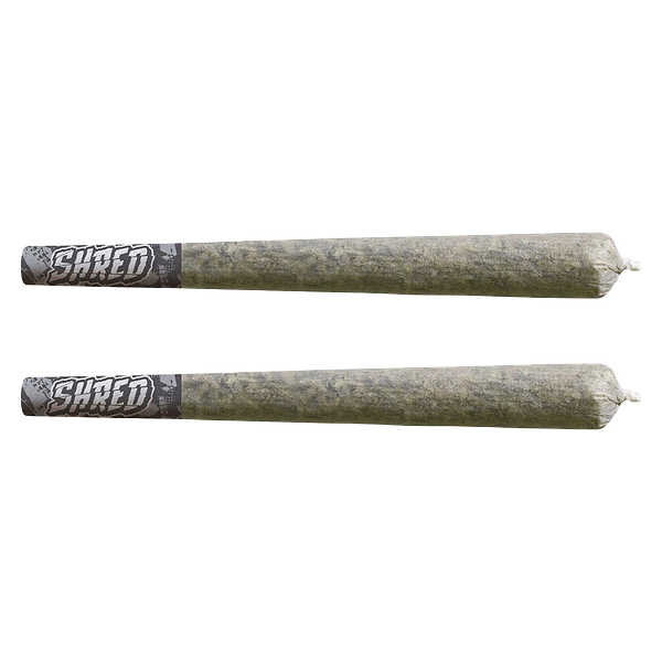 SHRED - Rocky Mountain Haze Bats Pre Roll