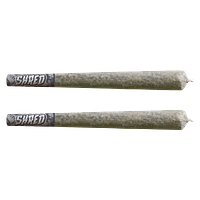 SHRED - Rocky Mountain Haze Bats Pre Roll