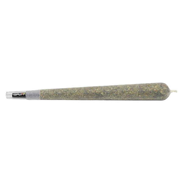 1Spliff Reserve - Javelin Premium Glass Tip Pre-Roll
