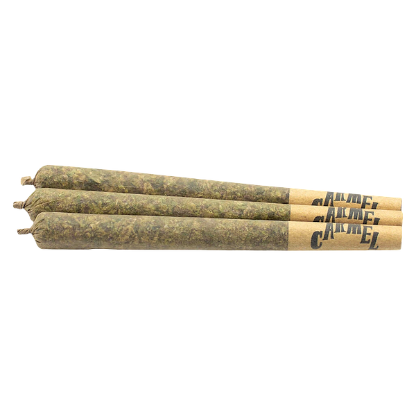 Carmel - Straight Cash Homie Pre-Roll