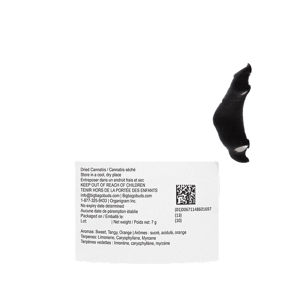 Big Bag O' Buds - Tropicanna Tangie