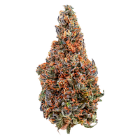 Cheers Cannabis - C4