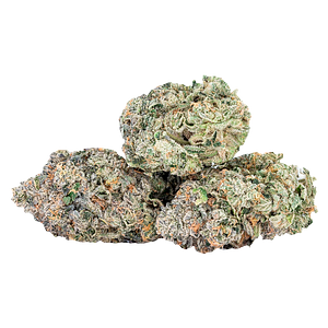 Sixty Seven Sins - EXPO67