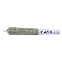 1Spliff - Candy Rain Pre-Roll