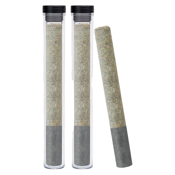 Dazed & Infused - Diesel Orchid + Live Resin + Diamond Infused Pre Roll