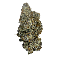 The Kitchen - Kadillac Rainbows