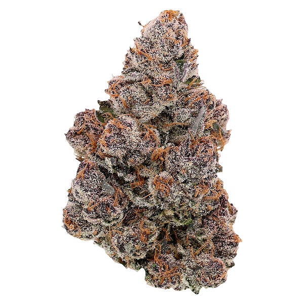 SublimeCulture - Halli Berri