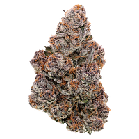 SublimeCulture - Halli Berri