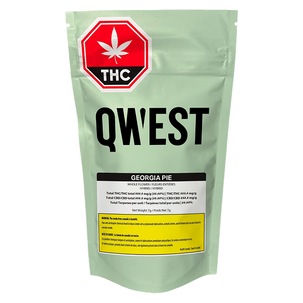 Qwest - Georgia Pie Craft Whole Flower