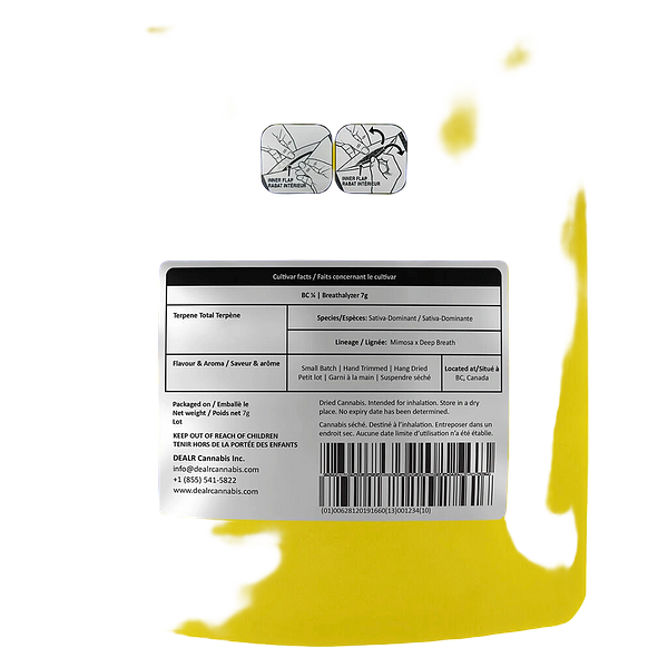 BC 1/4 - Breathalyzer