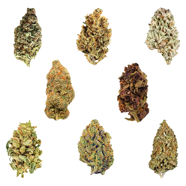 Potluck - Dankmas Feast Variety Pack