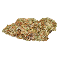 Ripped - Ripped Sativa (Rotational)