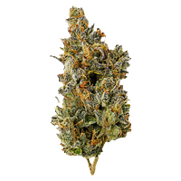 Top Leaf - Nakatomi Plaza