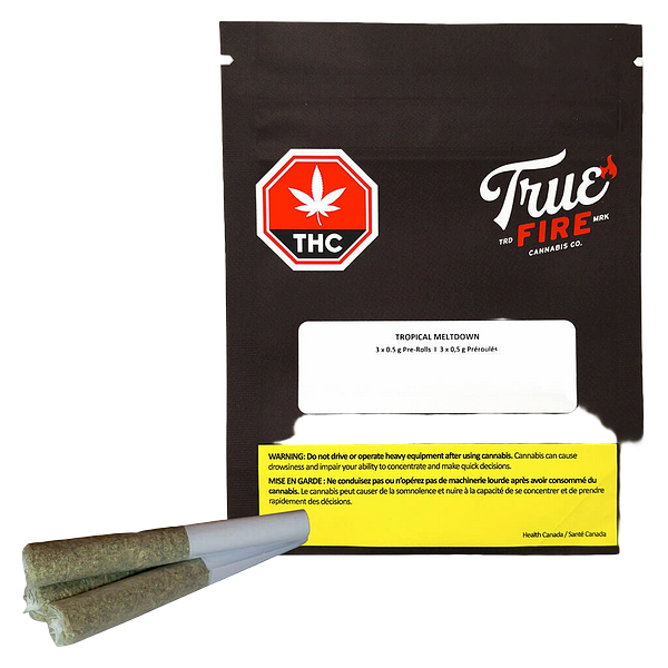 True Fire - Tropical Meltdown Pre-Roll