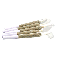 Truro - Bluenose Berry Pre-Roll