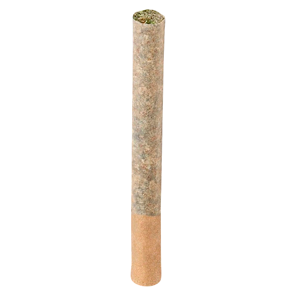 Cappellano Cannabis Co. - BC ORGANIC (LSO) MAPLE BLIZZARD Pre-Roll
