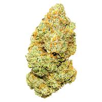 Palmetto - Sweet Deep Grapefruit