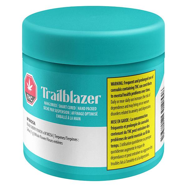 Trailblazer - M'Mosa image 2