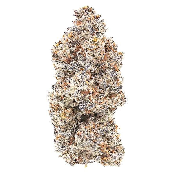 1964 - M'mosa image 3