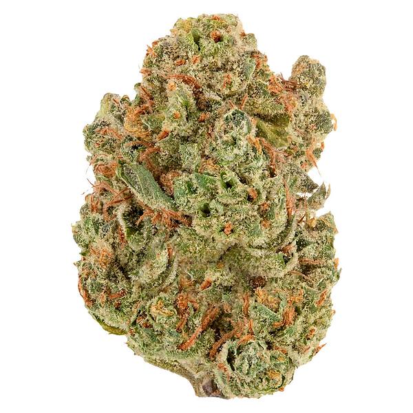 Sheeesh! - Double Bubbs image 1