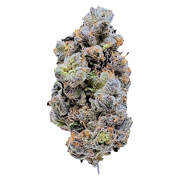 LaHoja - Platinum Blue Gellati