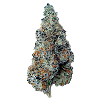 The Florist - Slurriboof Whole Flower