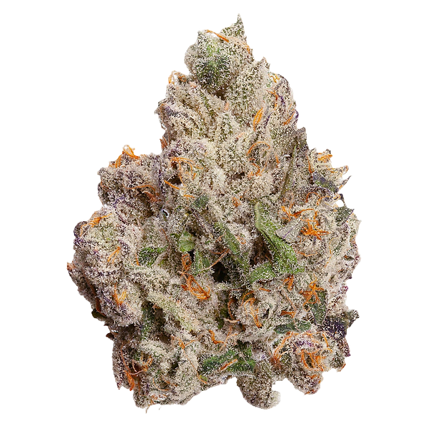 FOUR54 - Cherry Bang Bang