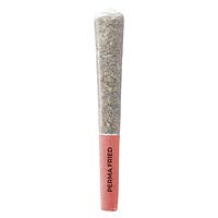 Pistol and Paris - Perma Fried Pre-roll