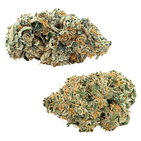 Big Bag O' Buds - Comboz: Pink Kush Mints + Purple Cherry Punch