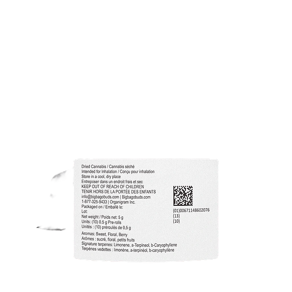 Big Bag O' Buds - Blueberry Dream Pre Roll