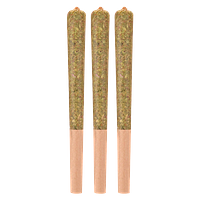 Woody Nelson - Dark Rainbow Craft Pre Roll