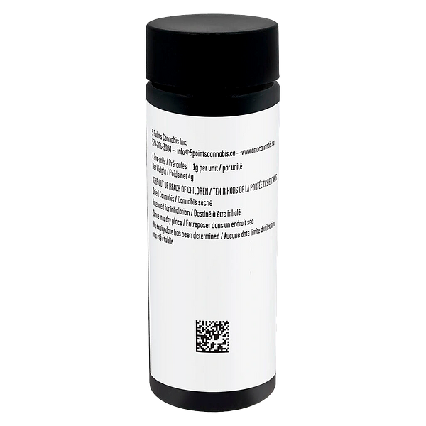 Catch Me Outside - Couch Potato Pre Roll