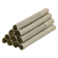 TRYGG - Low Frequency Pre Roll