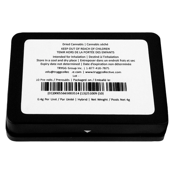 TRYGG - Low Frequency Pre Roll