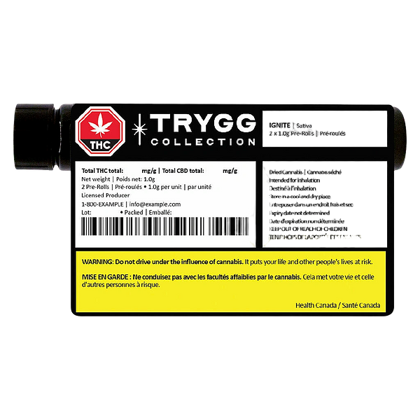 TRYGG - Ignite Pre Roll