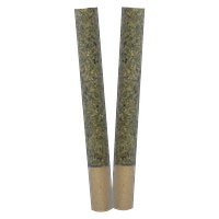 TRYGG - Ignite Pre Roll