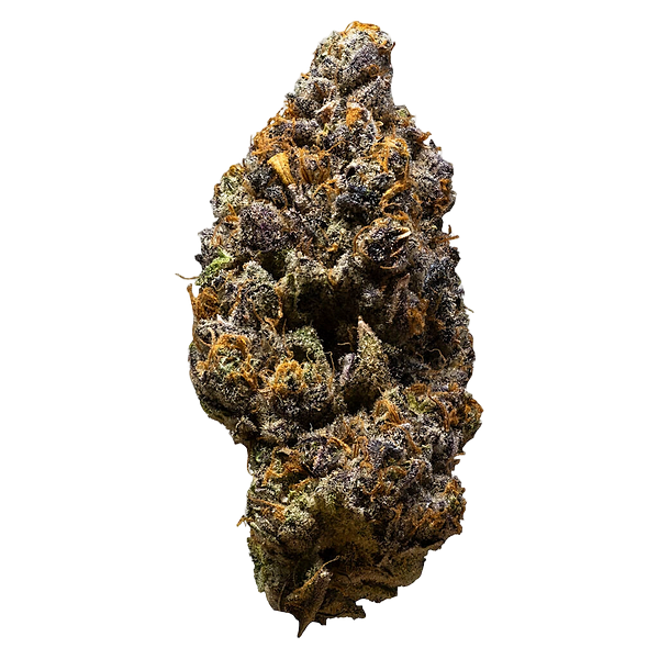 3rd Coast Genetics - Possum